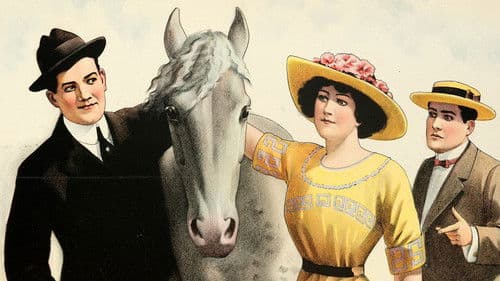 Arabia: The Equine Detective Bild 1