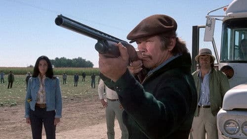 Das Gesetz bin ich Bild 4