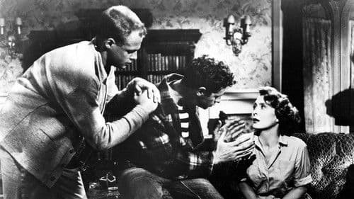 The Shadow on the Window Bild 3