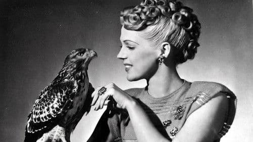 The Enchanted Valley Bild 1