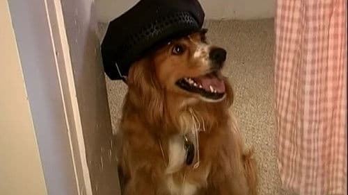 Severe Injuries Bild 6