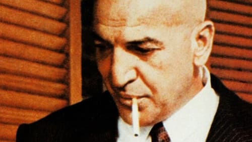 Der Mafia-Boss Bild 1