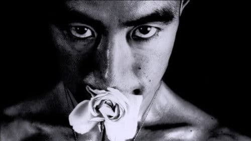 The Strange Case of Yukio Mishima Bild 1