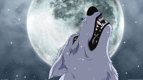 Wolf's Rain Bild 7