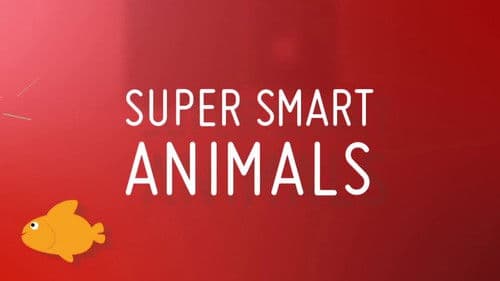 Super Smart Animals Bild 3