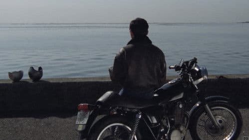 痴漢電車人妻篇　奥様は痴女 Bild 3