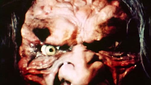 Fluch des blutigen Schatzes Bild 1