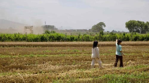 你的眼睛比太阳明亮 Bild 1