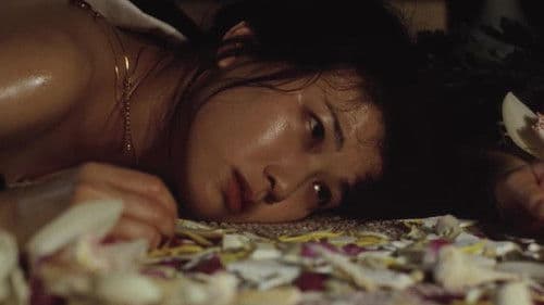 夜がまた来る Bild 2