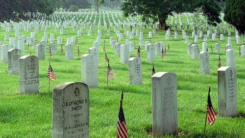 Der steinerne Garten Bild 3