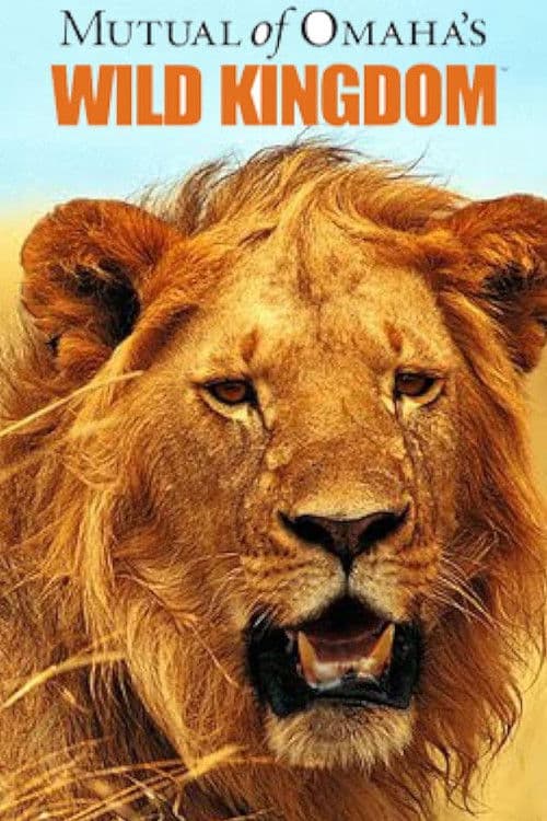 Im Reich der wilden Tiere