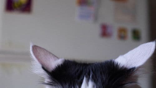 Celina y Chichi Bild 1