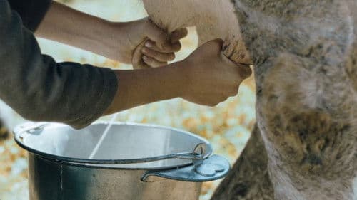 Autumn Blood - Die Zeit der Rache Bild 2