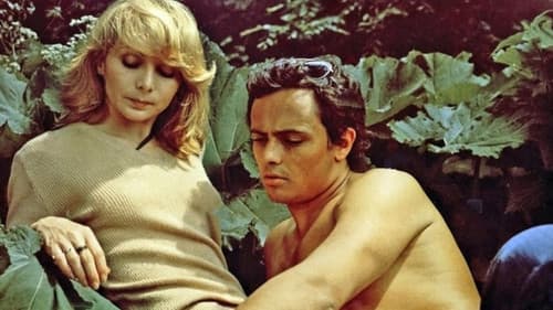 Meine drei Cousinen Bild 1