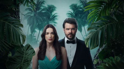 Mystery Island Bild 5