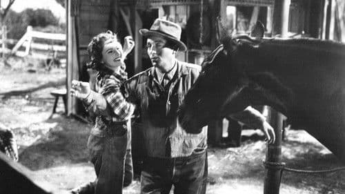 Lach und wein mit mir Bild 3