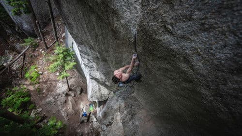 The Cobra and the Heart Bild 1