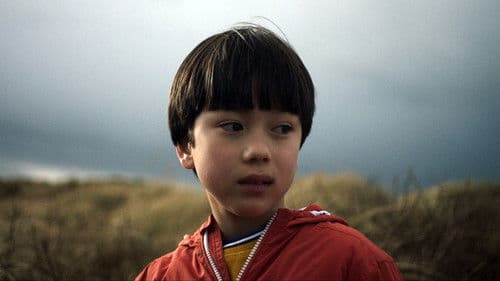 Warum ich euch nicht in die Augen schauen kann Bild 4