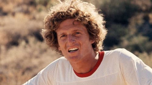 Pray for the Wildcats Bild 3