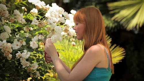 Redheads Are Sexy Bild 1