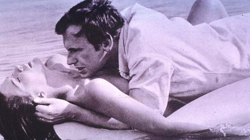 Metti, una sera a cena Bild 3