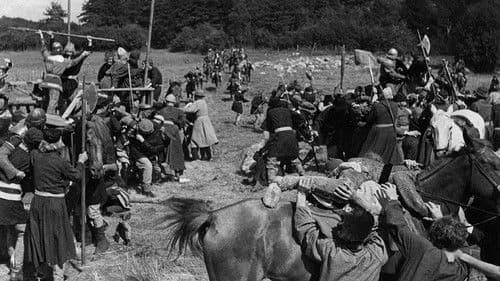 Harald Handfaste Bild 4