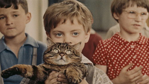 Wenn der Kater kommt Bild 2