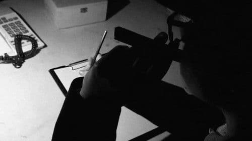 The Light Amidst The Shadows Bild 1