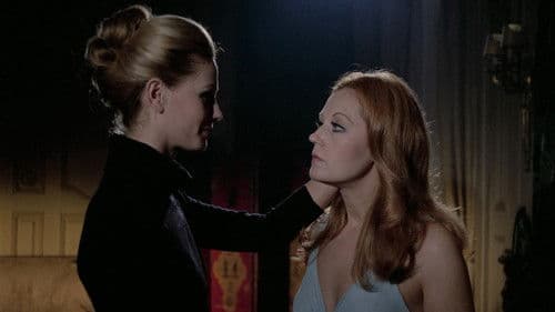 Das Haus im Nebel Bild 2