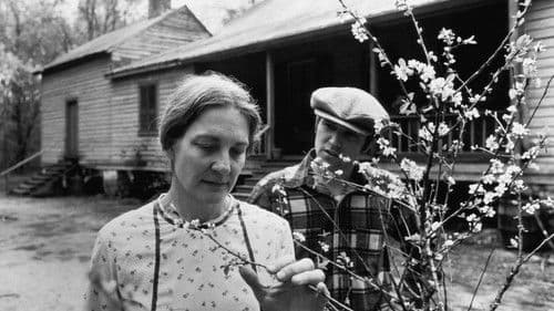 Gal Young 'Un Bild 1