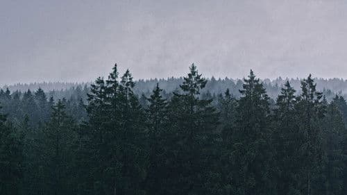 Bis die Welt einen Rand bekommt Bild 3