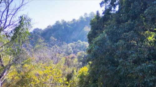 संकट का समय Bild 6