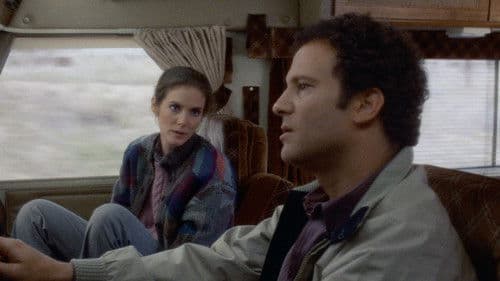 Kopfüber in Amerika Bild 4