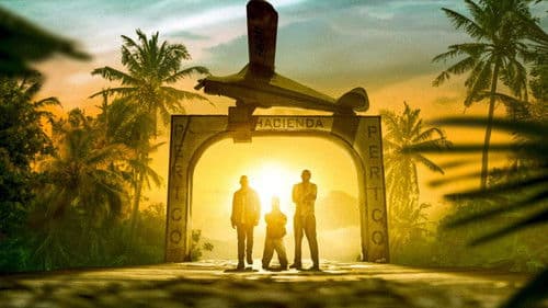 Medellin - Follower mit Folgen Bild 4