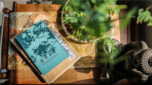 书房里的世界观 Bild 1