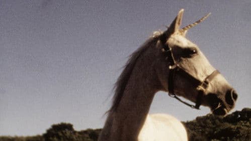 I Believe in Unicorns Bild 6