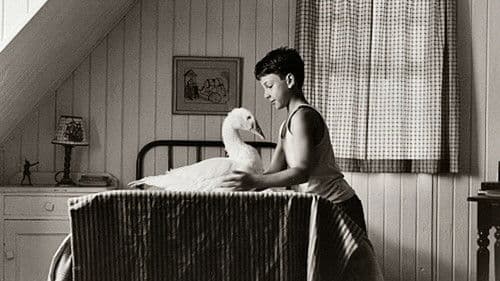 L'histoire de l'oie Bild 1