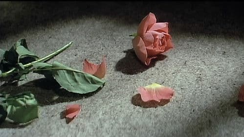 団地妻を縛る Bild 2