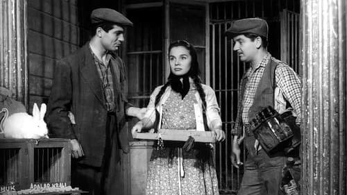 Üç Arkadaş Bild 1