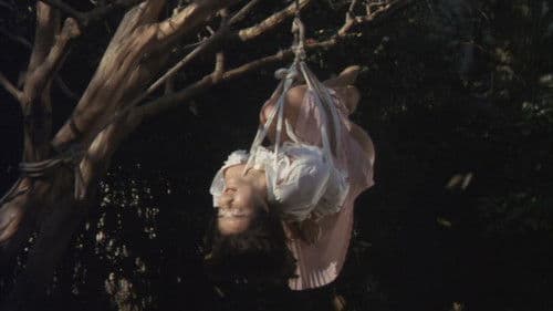 縄姉妹　奇妙な果実 Bild 3