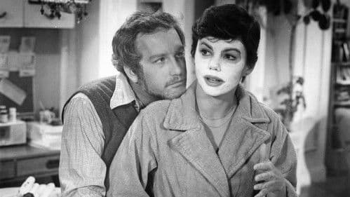 Der Untermieter Bild 2