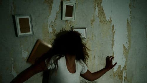 Bei meiner Seele Bild 7