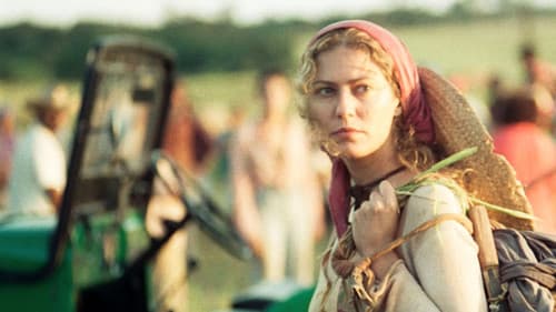 O Rei do Gado Bild 1