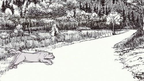 Der unsichtbare Puma - Ein Besucher in Frankreichs Wäldern? Bild 7