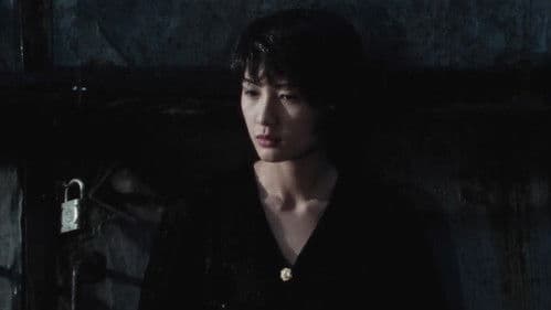 XX 美しき機能 Bild 7