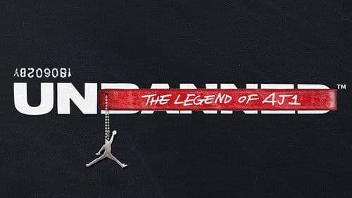 Unbanned: The Legend of AJ1 Bild 2