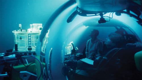 A Life Illuminated Bild 1