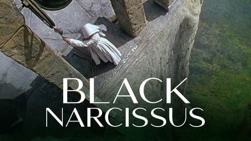 Die schwarze Narzisse Bild 5
