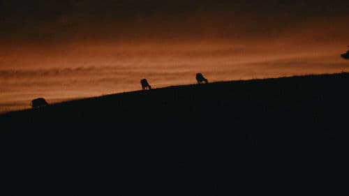 Expiration Date Bild 2