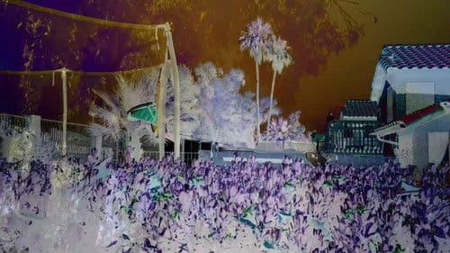 Revisited Remunerations Rapturously Collapse When Recompensed Bild 1